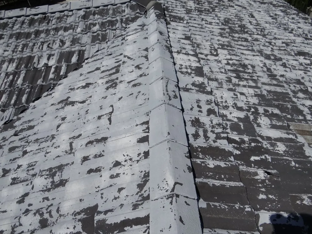 Slide of Roof Restore