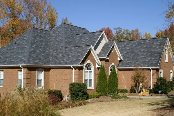 Roof Revitalizer