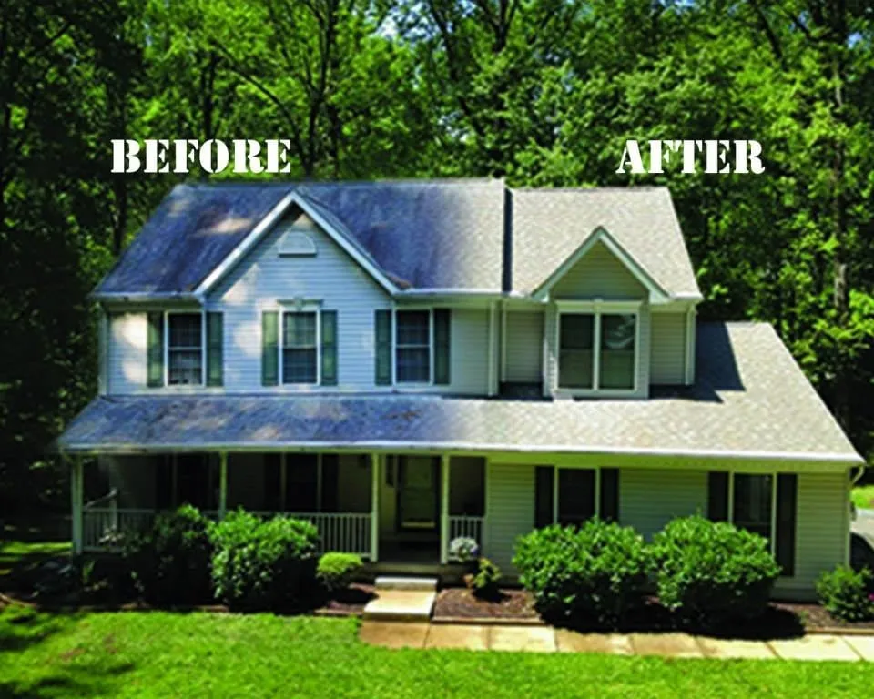 Slide of Roof Revitalizers