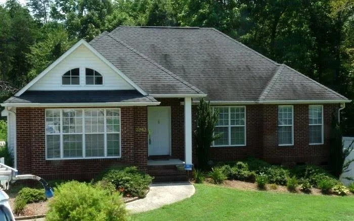 Slide of Roof Revitalizers