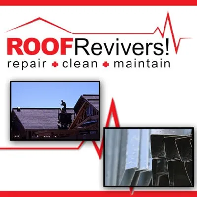 Slide of Roof Revivers