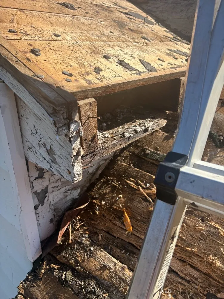 Slide of Roof Rite Solutions