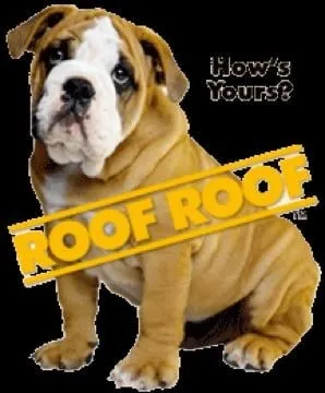 Slide of Roof Roof Nashville