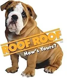 Slide of Roof Roof Nashville