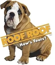 Slide of Roof Roof Nashville