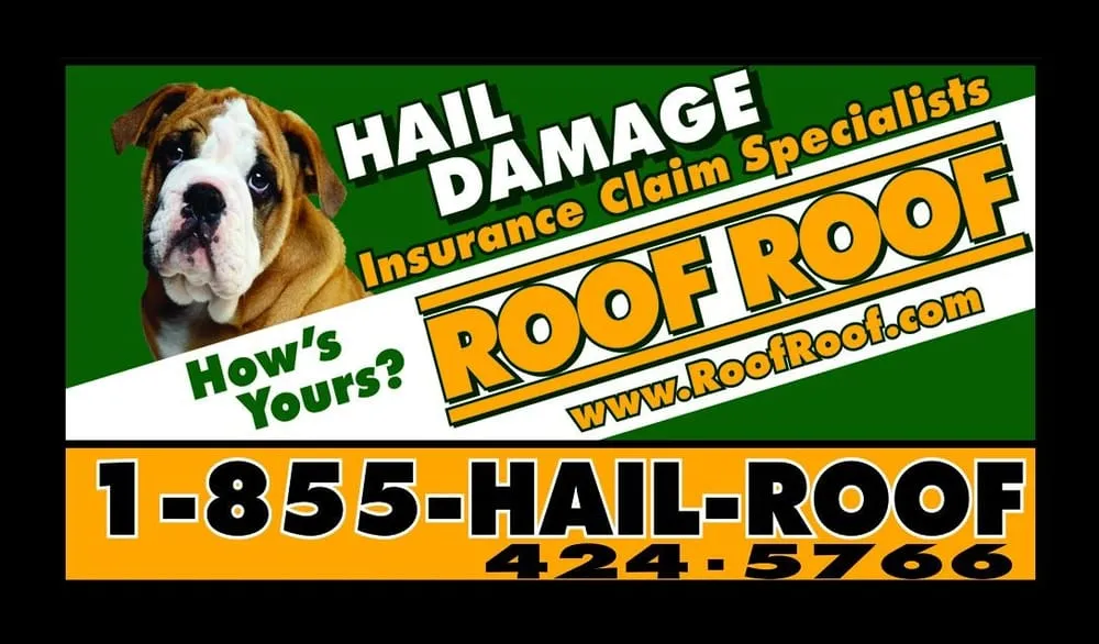 Slide of Roof Roof Nashville