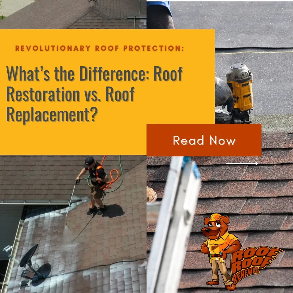 Slide of Roof Roof Renewal