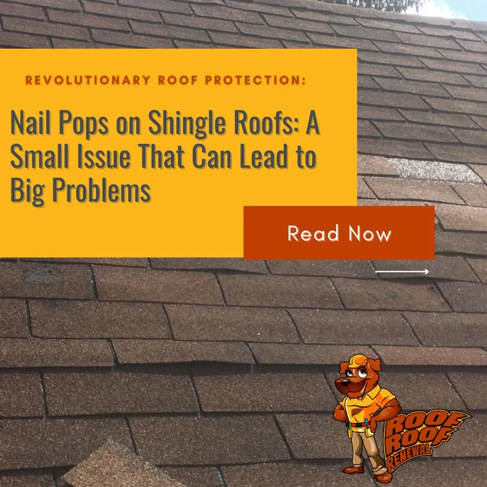 Slide of Roof Roof Renewal