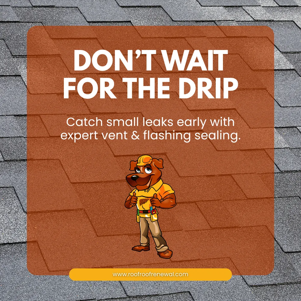 Slide of Roof Roof Renewal