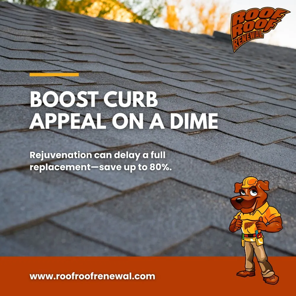 Slide of Roof Roof Renewal