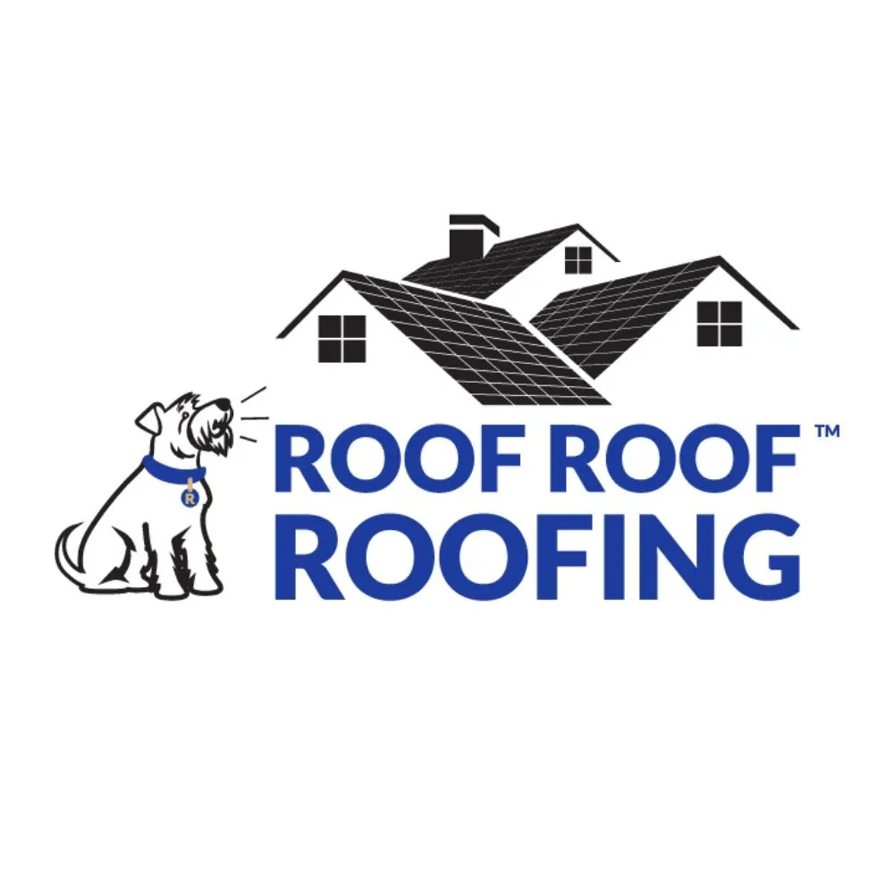 Slide of Roof Roof Roofing