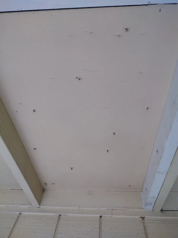 Slide of Roof Roofing