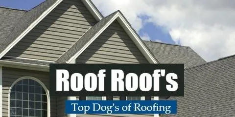 Slide of Roof Roofs