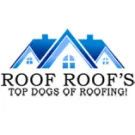 Roof Roofs
