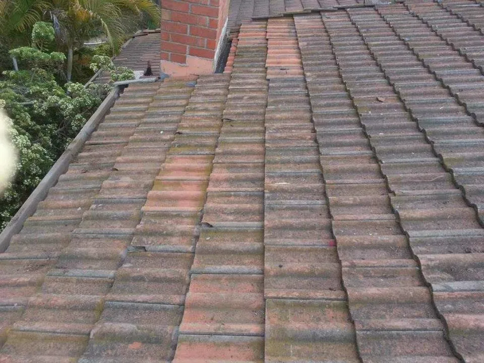 Slide of Roof Rx - Central Florida