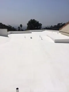 Slide of Roof Rx