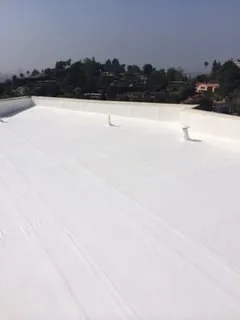 Slide of Roof Rx