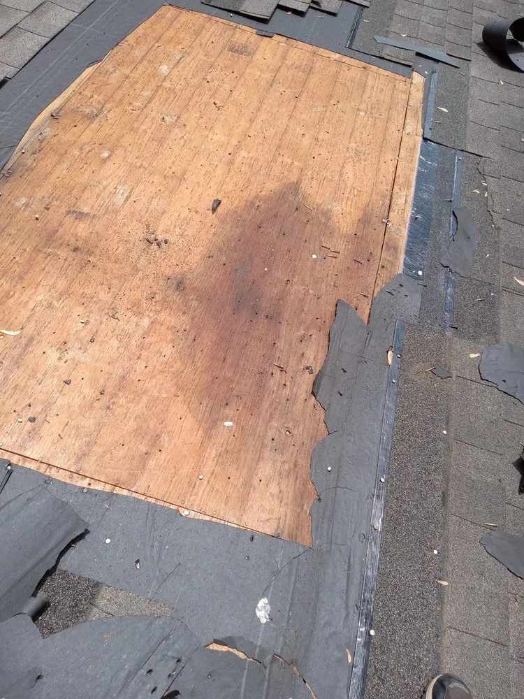 Local shingle roofing service experts serving Clarkston, MI - Roof RX