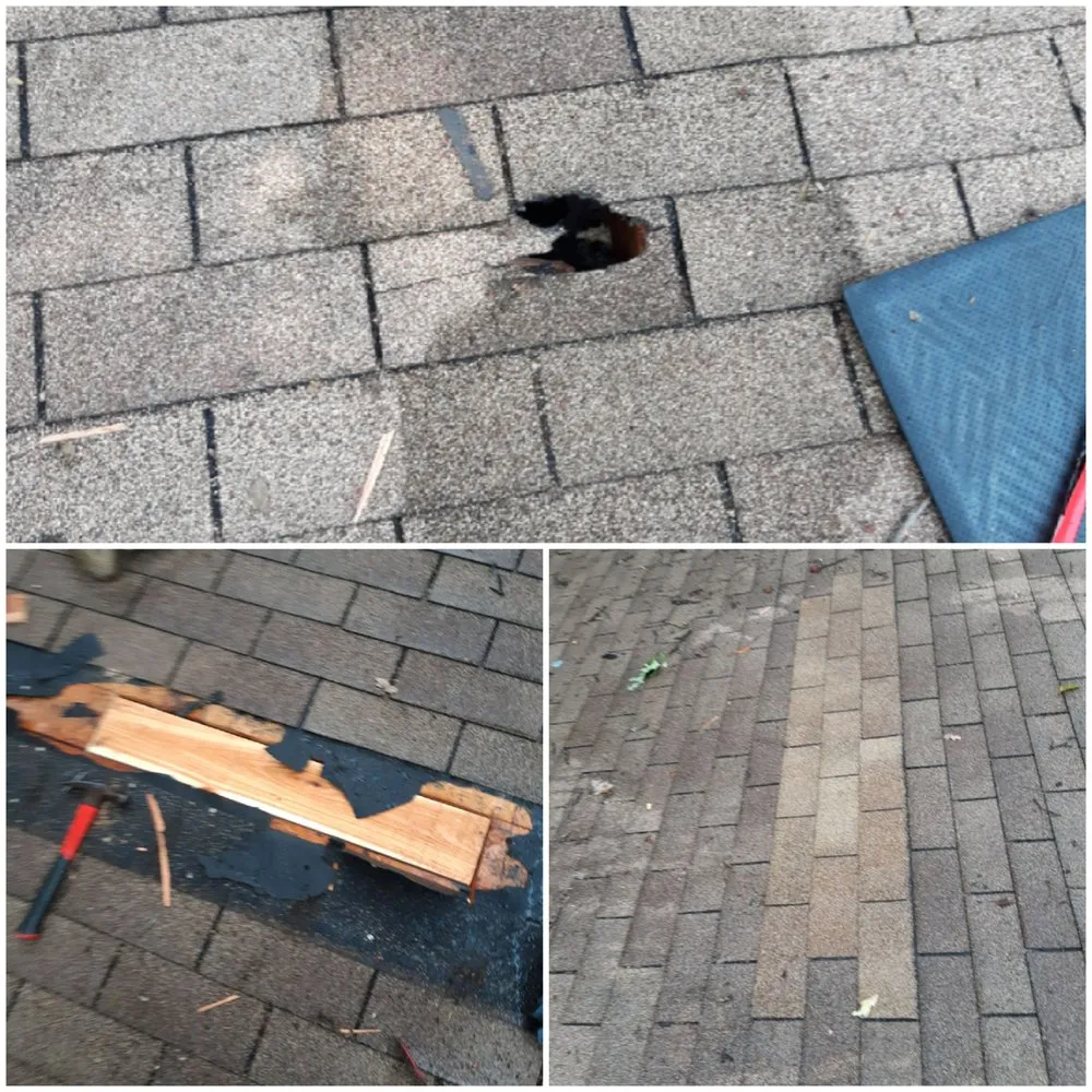 Trusted shingle roofing service after storm damage across Clarkston, MI - Roof RX