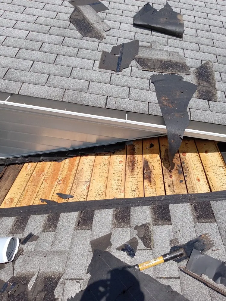 Expert shingle roofing service in Clarkston, MI by Roof RX