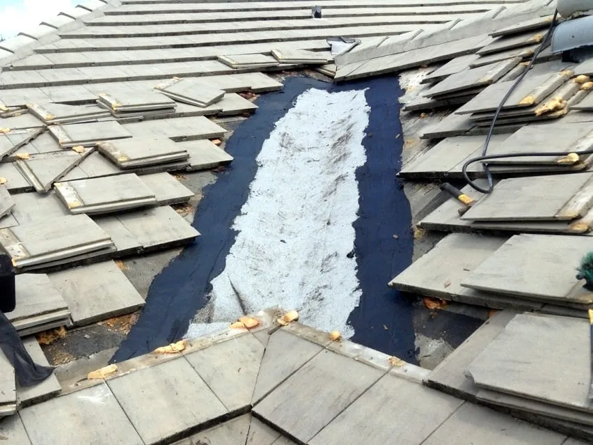Slide of Roof Rx