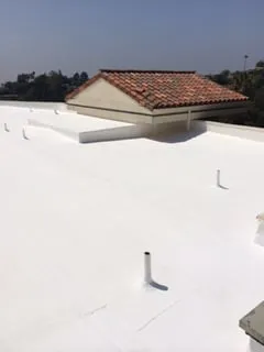 Slide of Roof Rx
