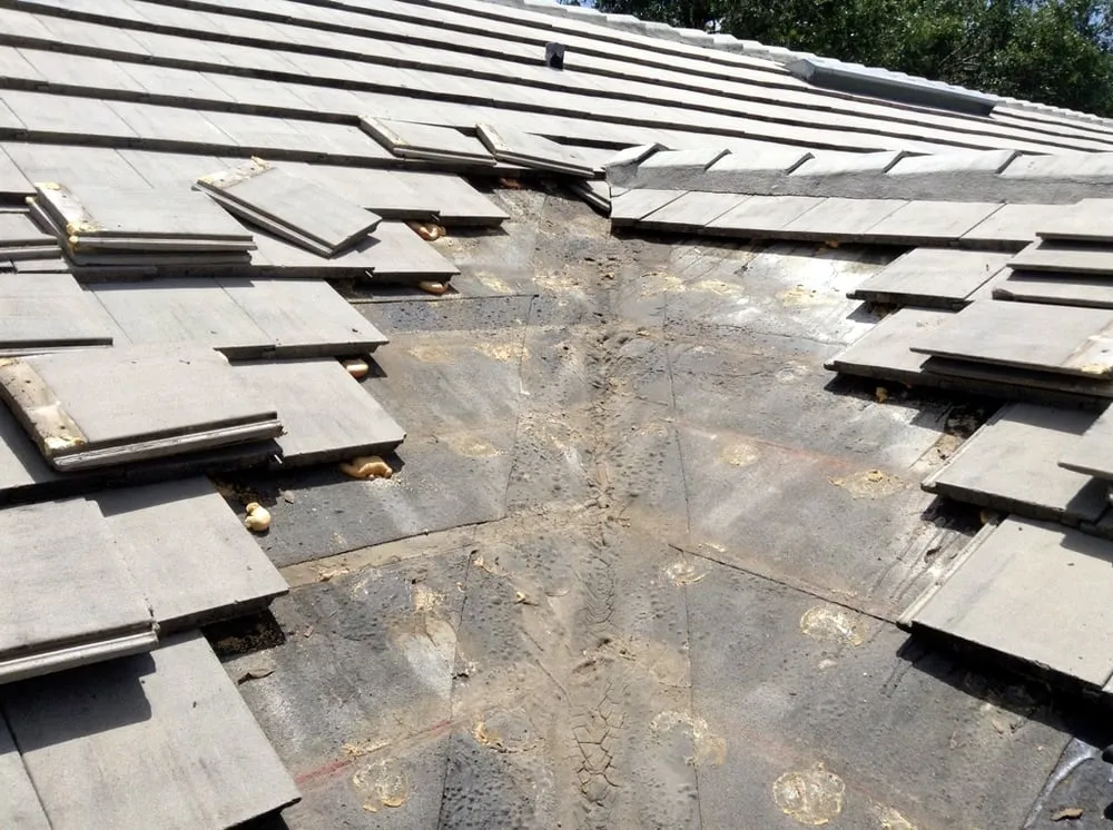 Slide of Roof Rx