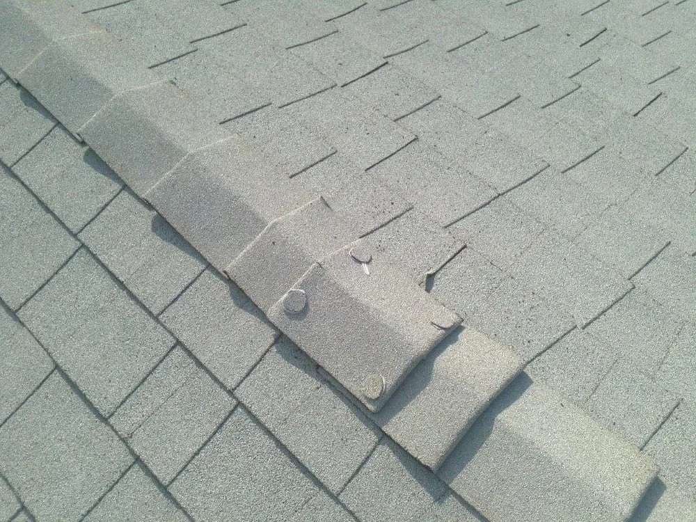 Slide of Roof Rx