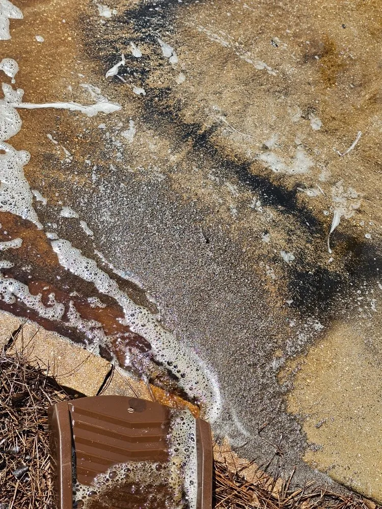 Slide of Roof Shield of South Alabama