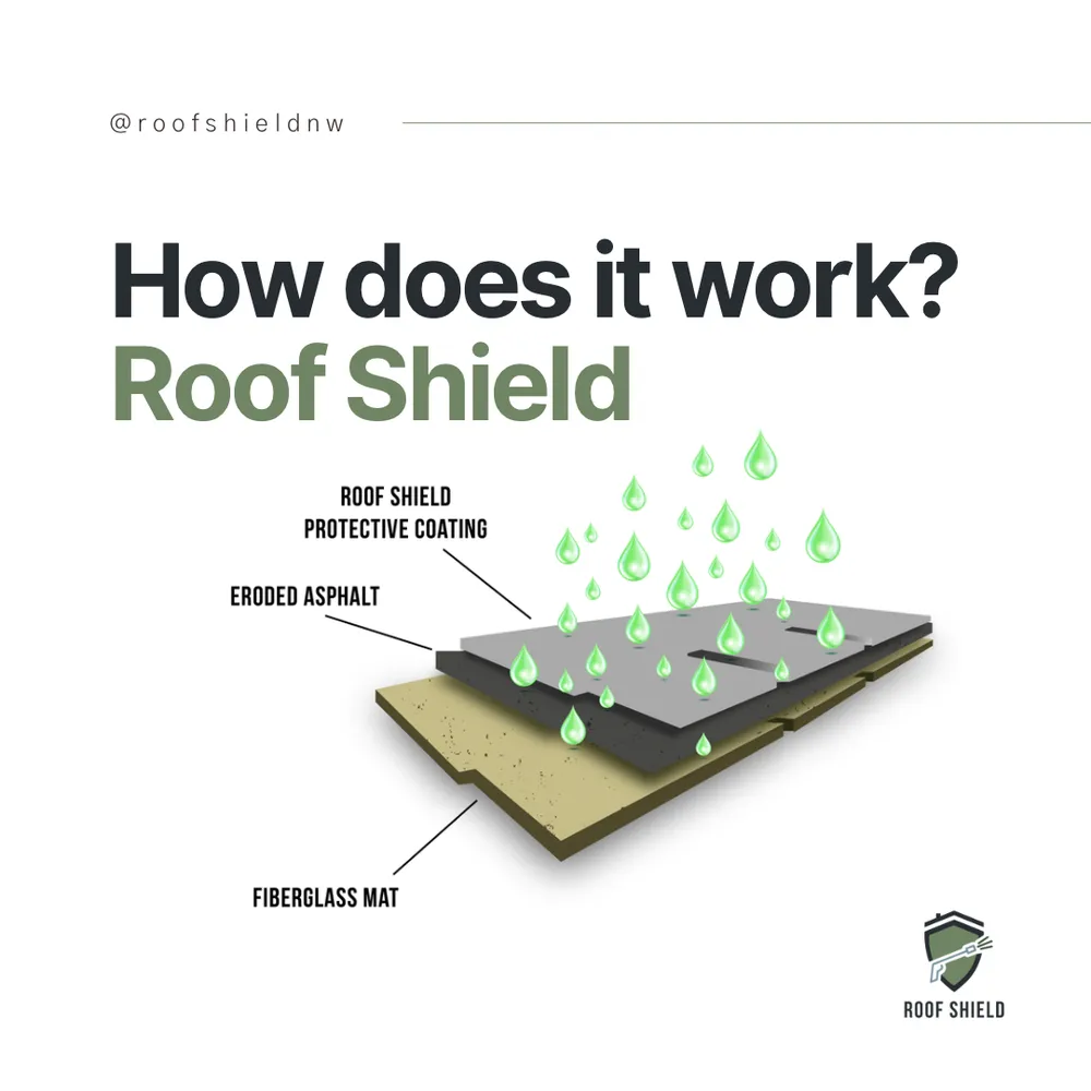 Slide of Roof Shield