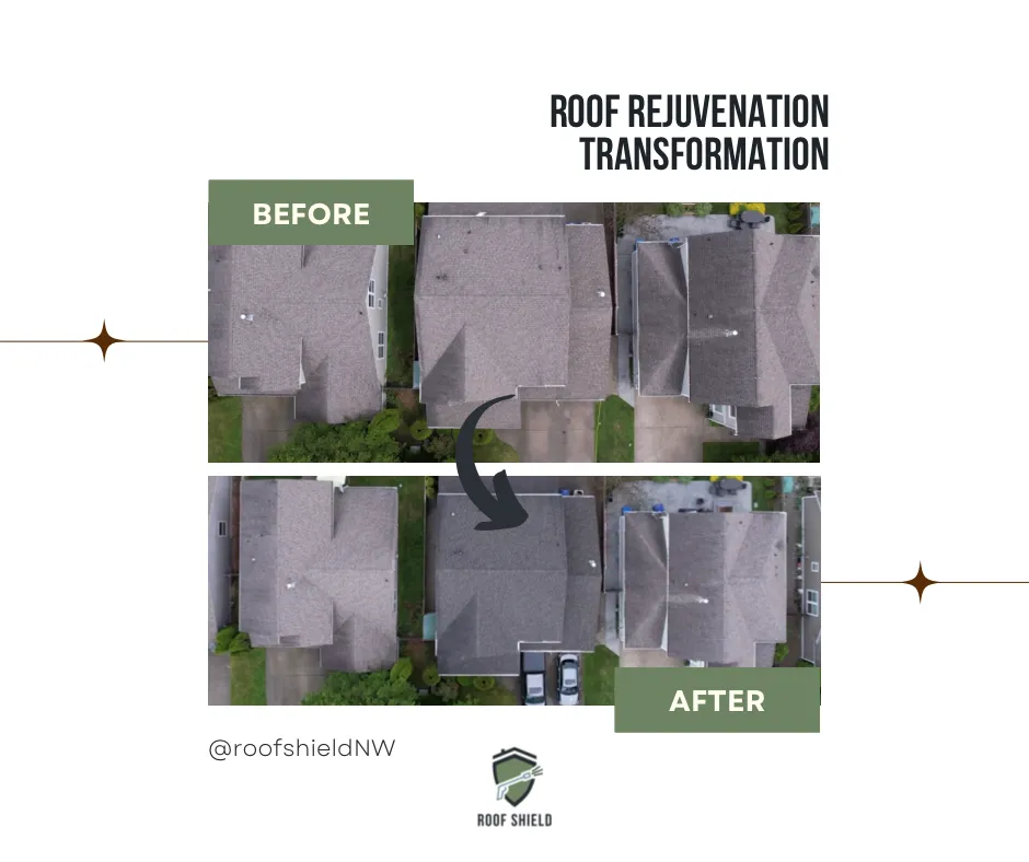 Slide of Roof Shield