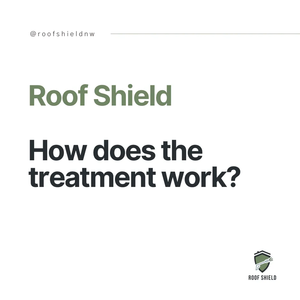 Slide of Roof Shield