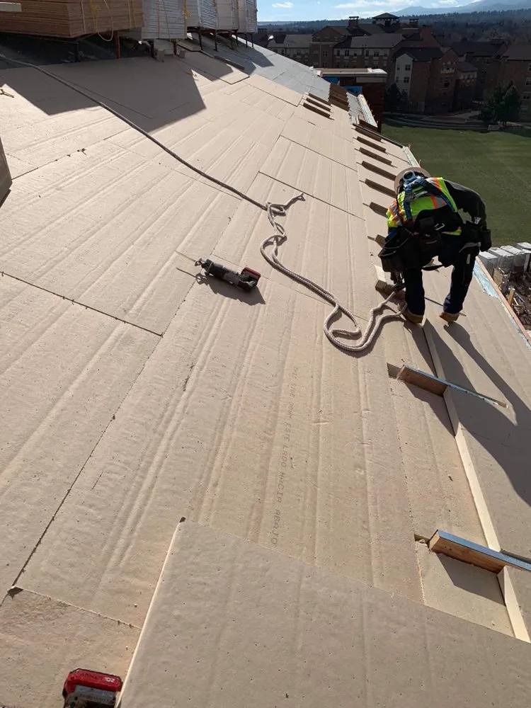 Slide of Roof Source