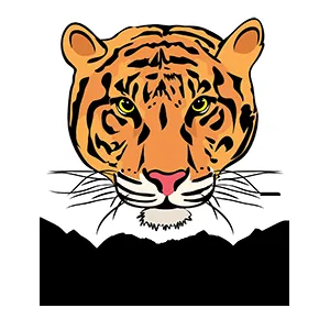 Slide of Roof Tiger
