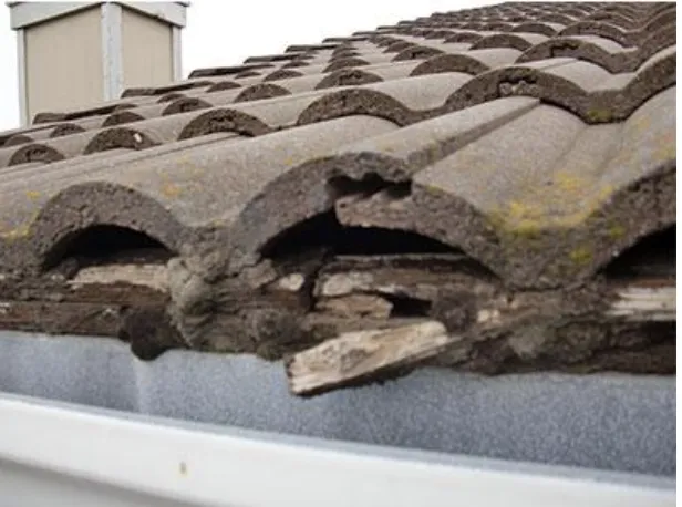 Slide of Roof Tile Custom Specialists