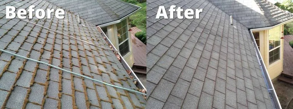 Slide of Roof Troops