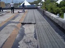 Slide of Roof Troops