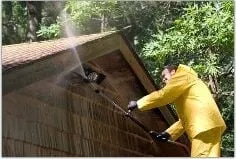 Slide of Roof Wash Tampa