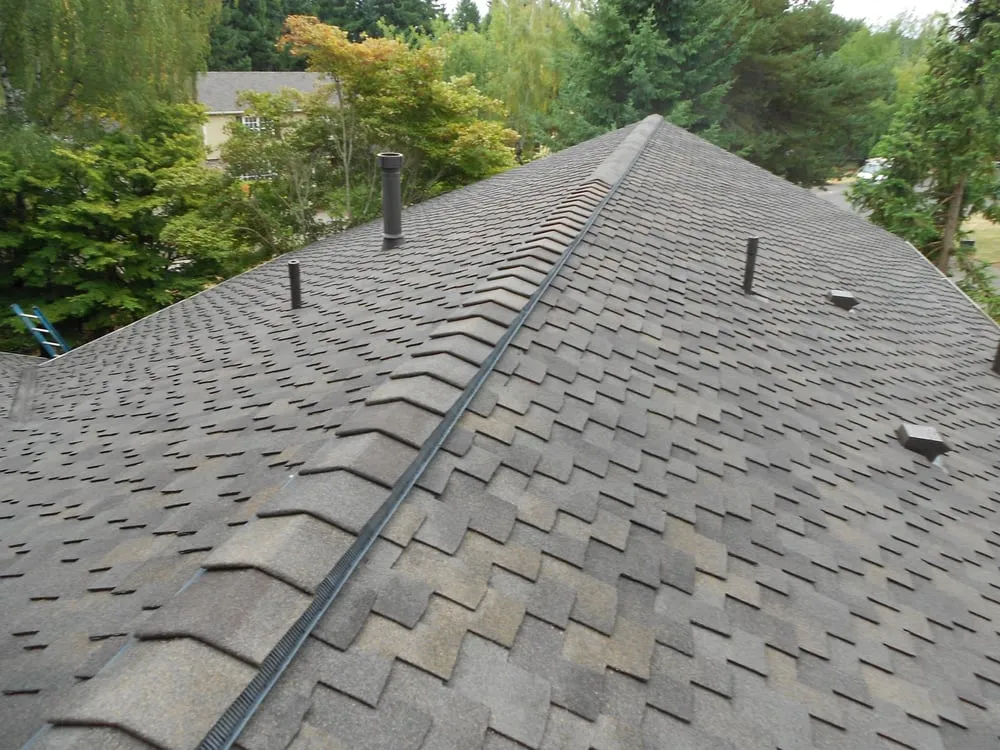 Slide of RoofBidders