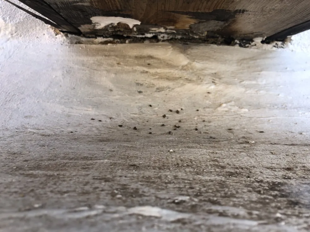 Slide of RoofCARE - Albuquerque