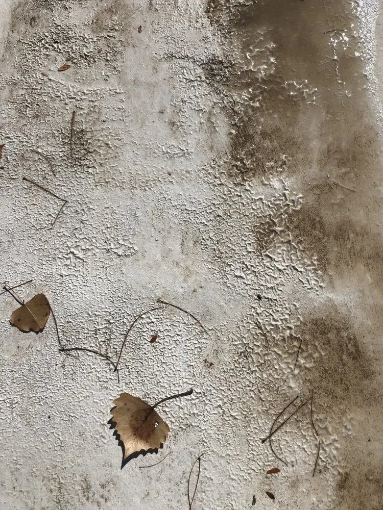 Slide of RoofCARE - Albuquerque