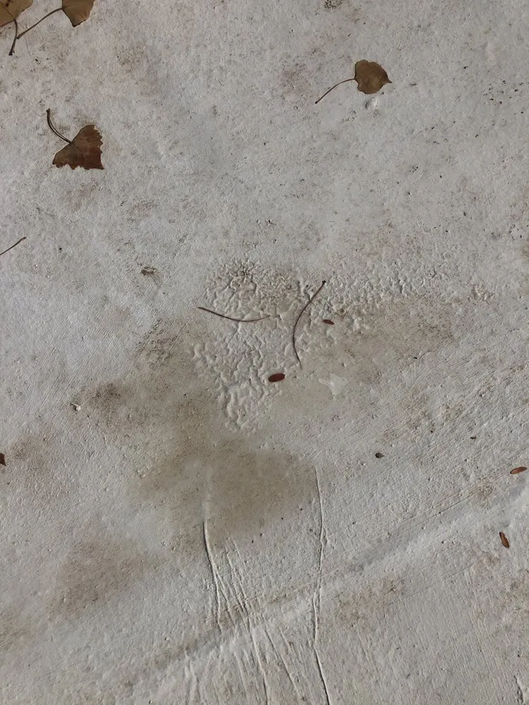 Slide of RoofCARE - Albuquerque