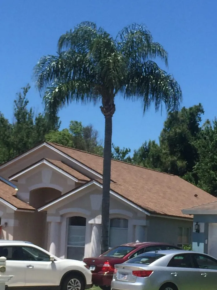 Slide of RoofClaim.com