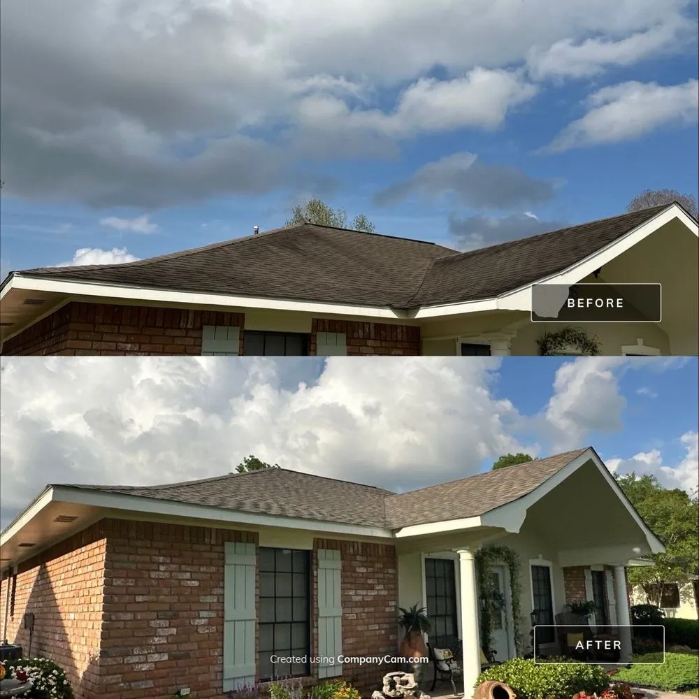 Slide of Roofelangelo