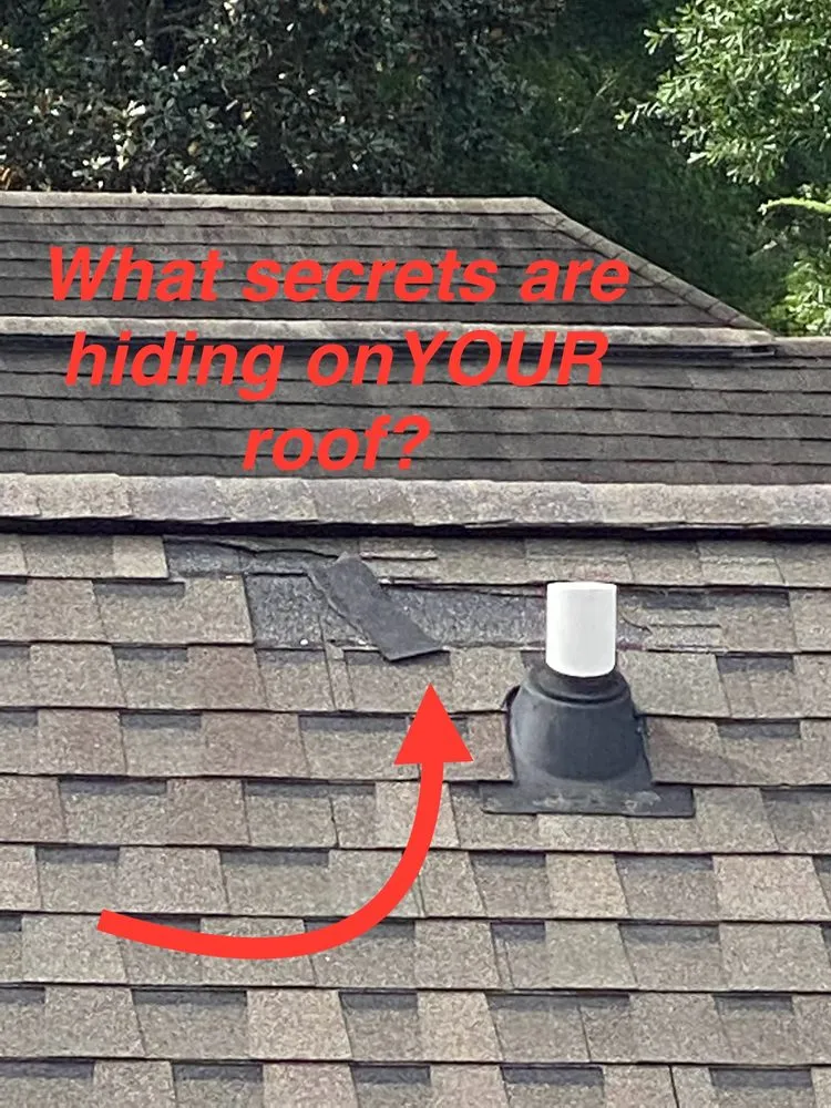 Slide of Roofelangelo