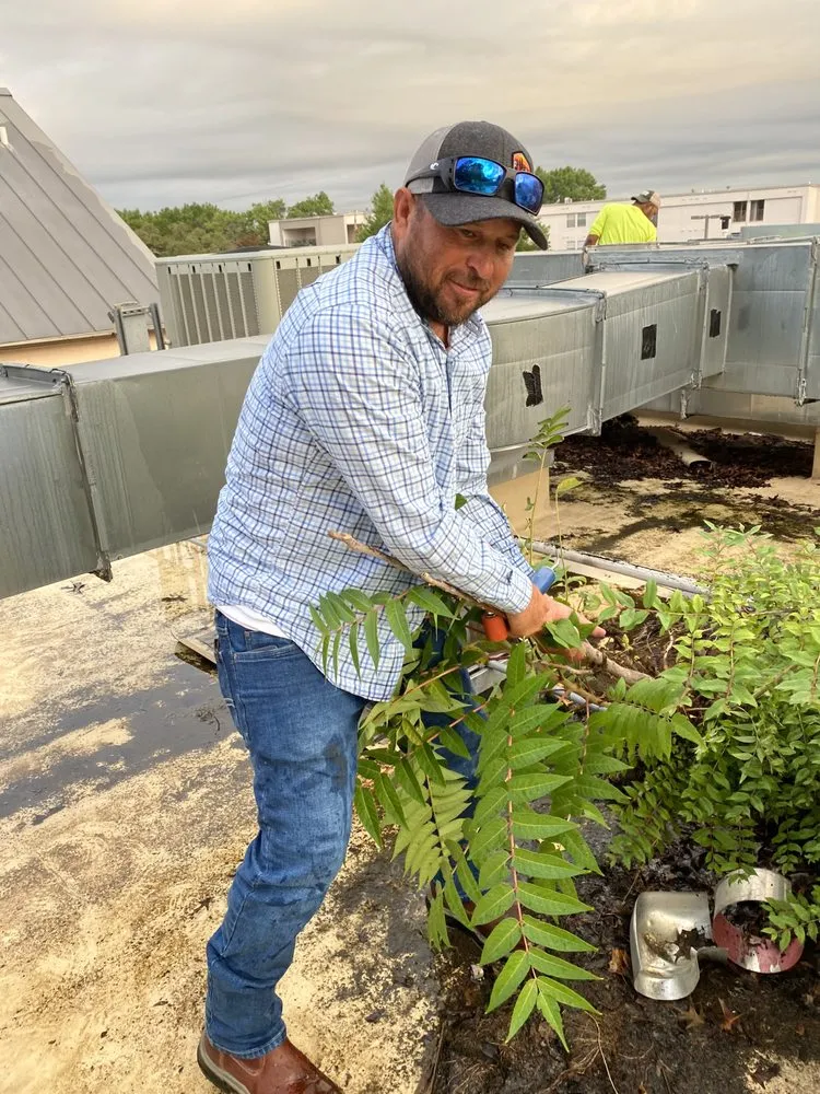 Slide of Roofer Chicks