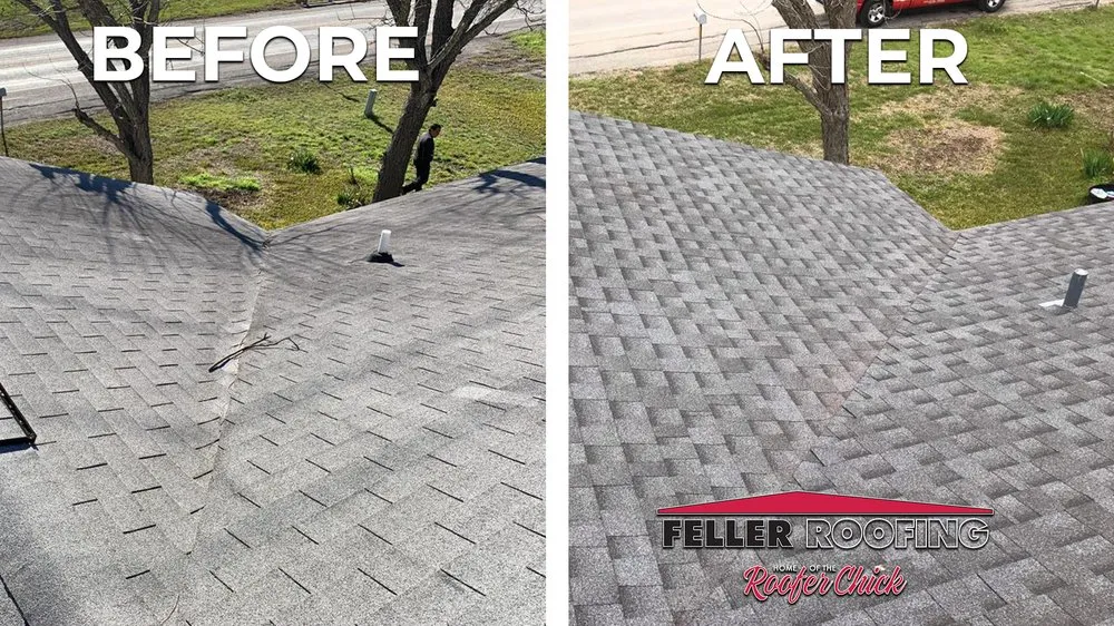 Slide of Roofer Chicks