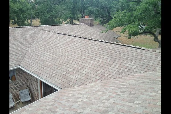 Slide of Roofer Chicks