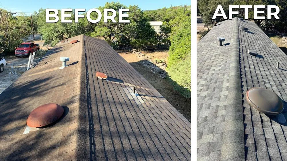 Slide of Roofer Chicks