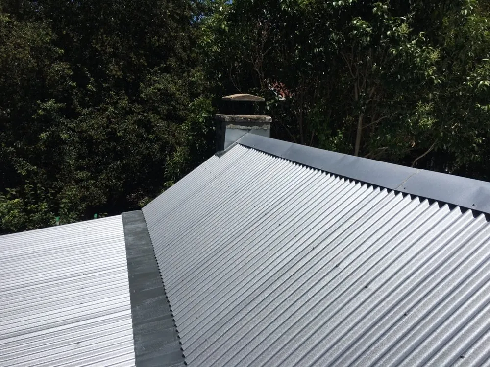 Slide of Roofer Chicks